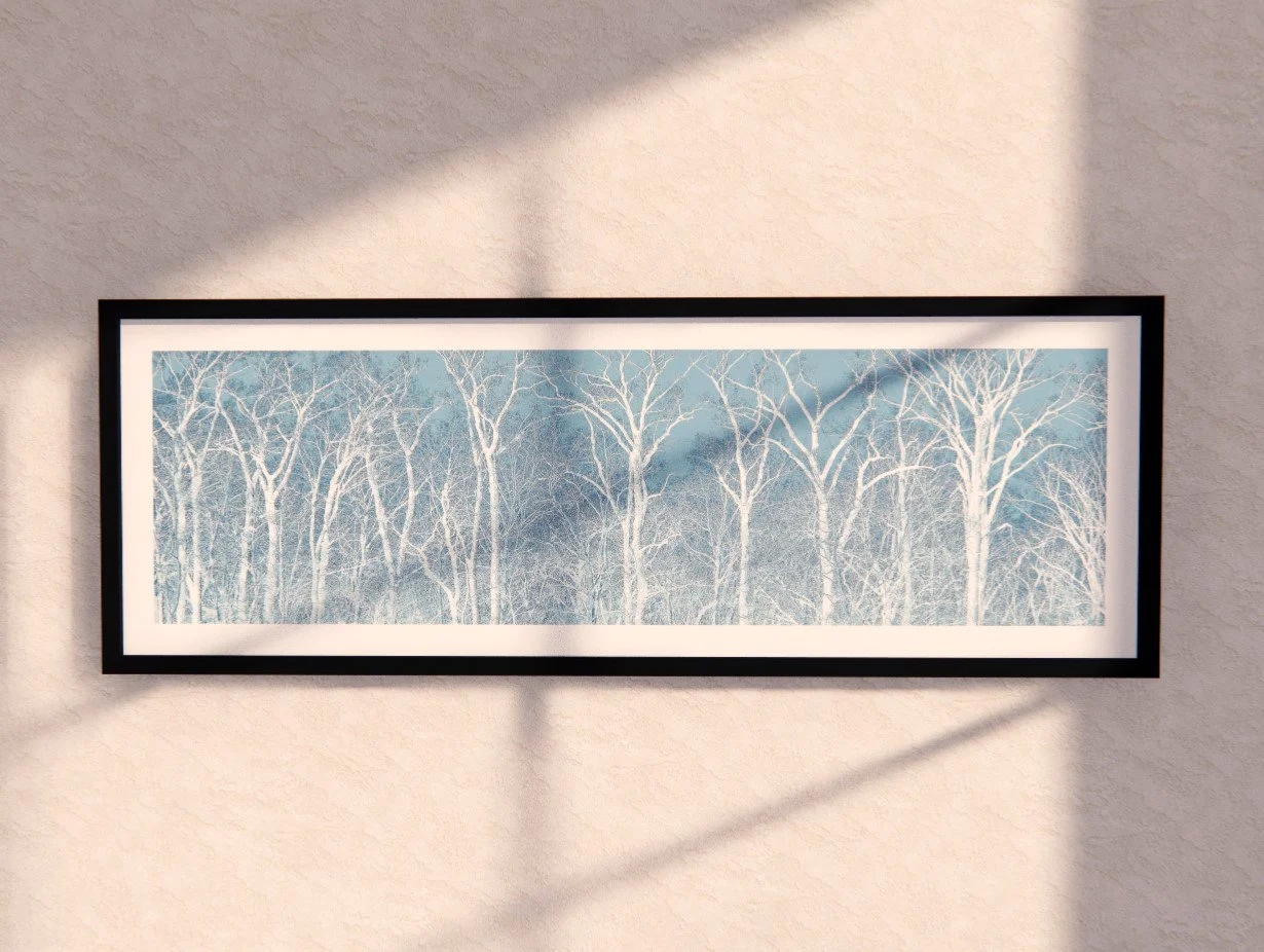 Antrim Lake Trees #2