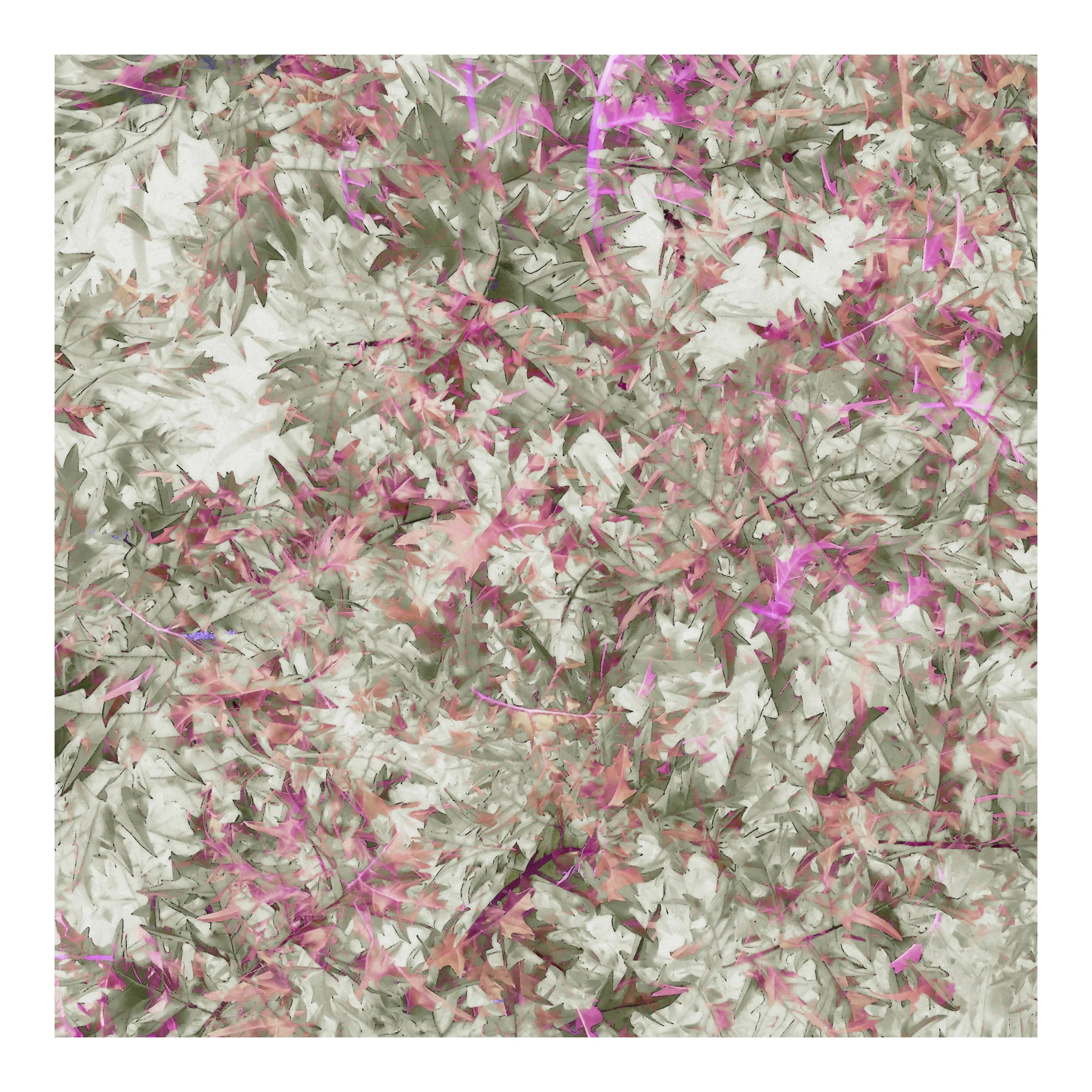 Natural Abstraction No. 1