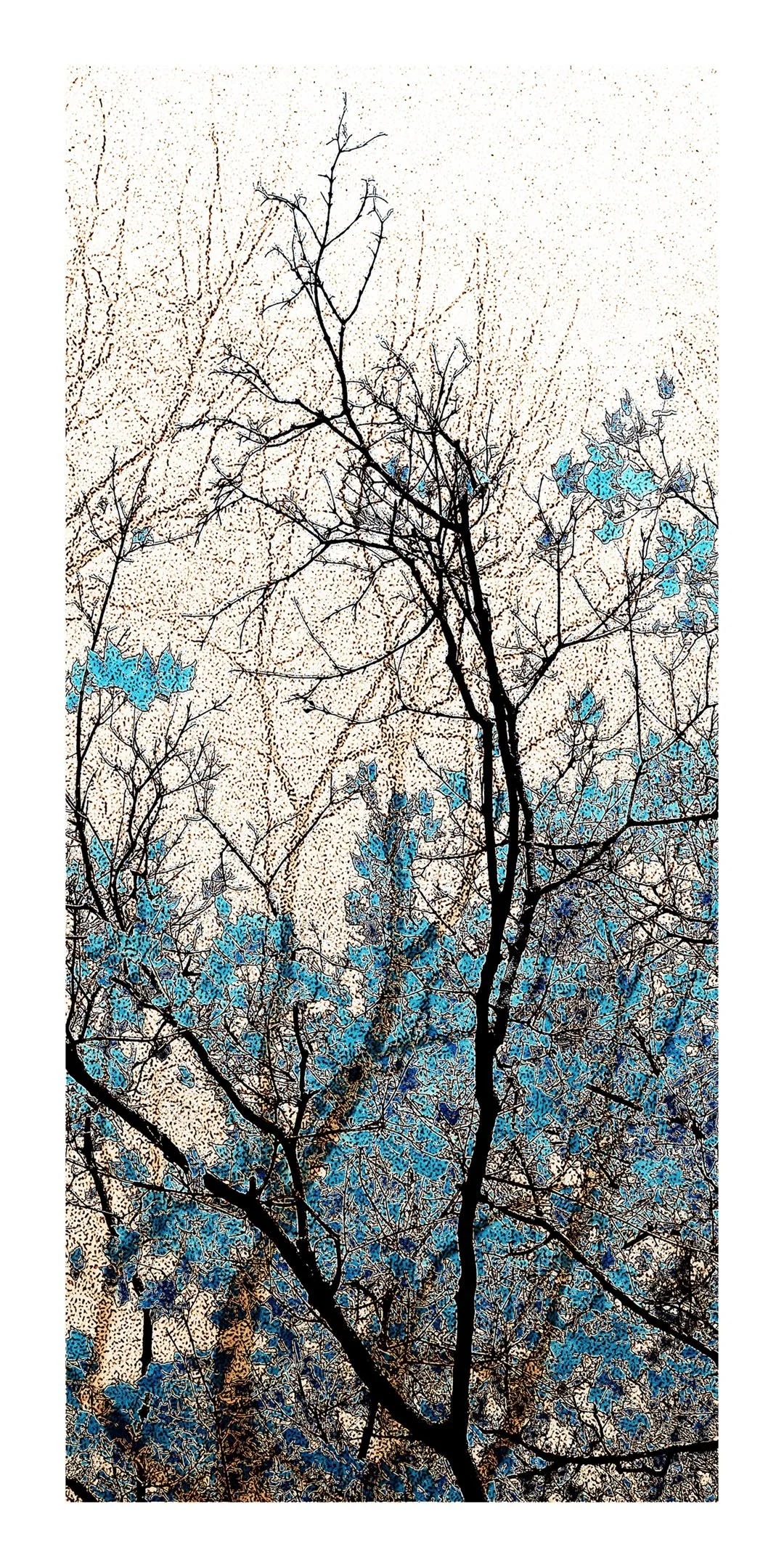 DSCF6010__VERT_9x18_PR_ copy.jpg