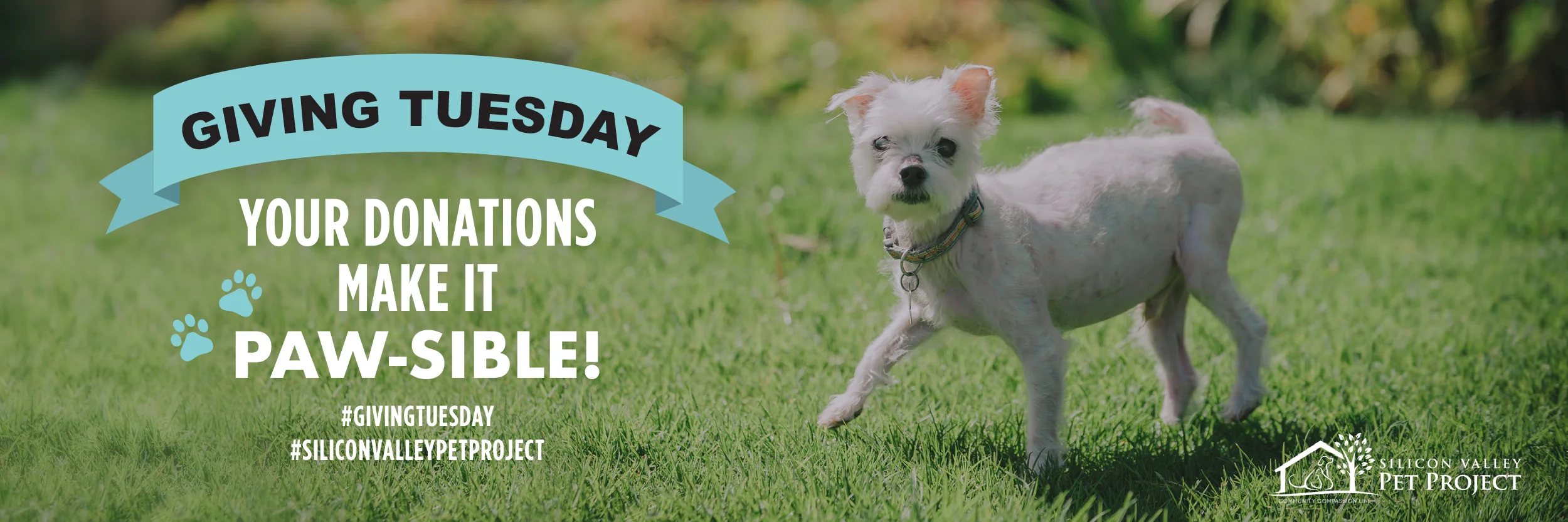 Giving Tuesday Open House