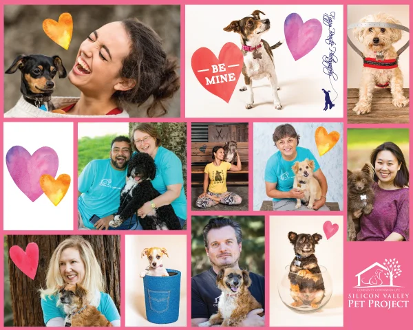 Valentine Photos With Your Pup