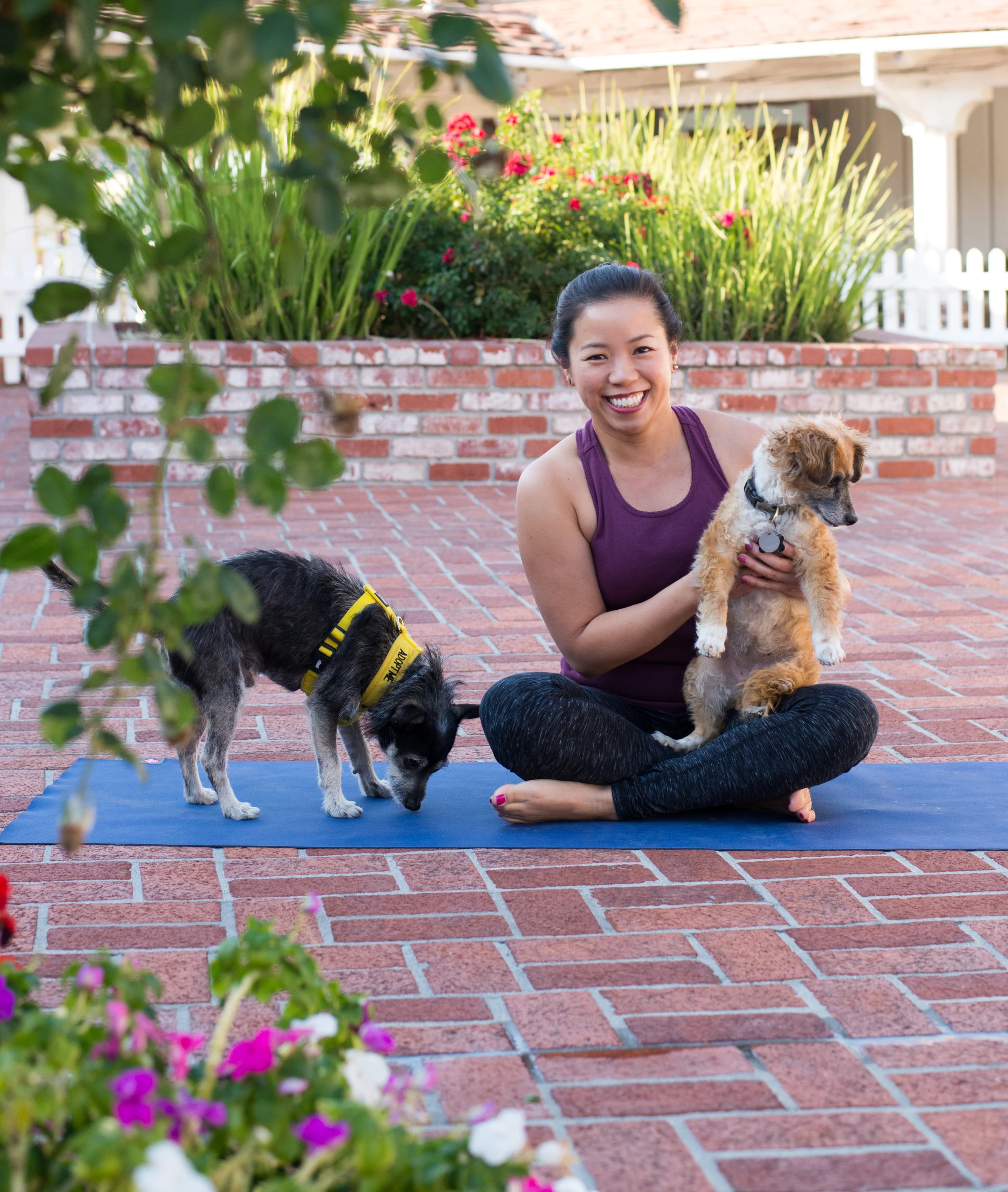 Doga at Pup Plaza