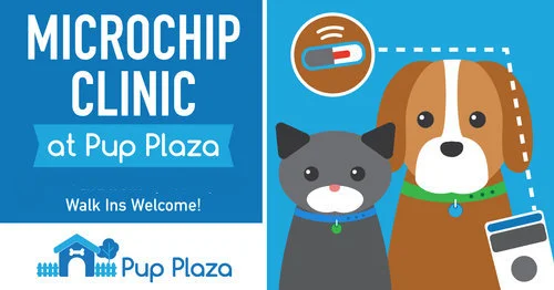 Low Cost Microchip Clinic