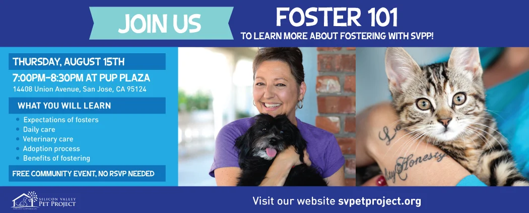 Foster 101