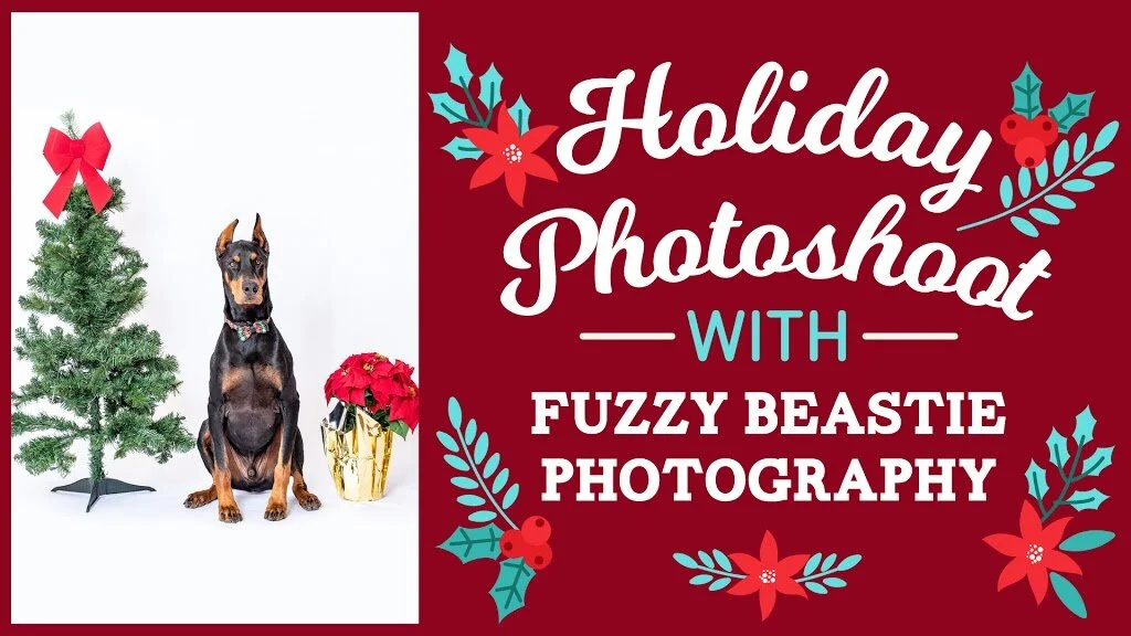 HolidayPhotoshoot.jpg