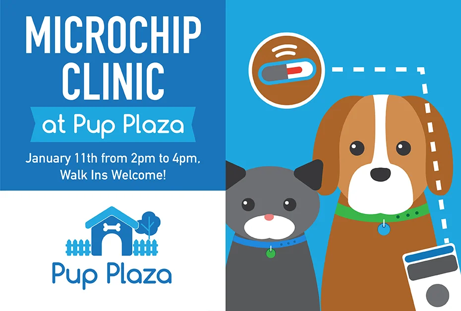 Low Cost Microchip Clinic