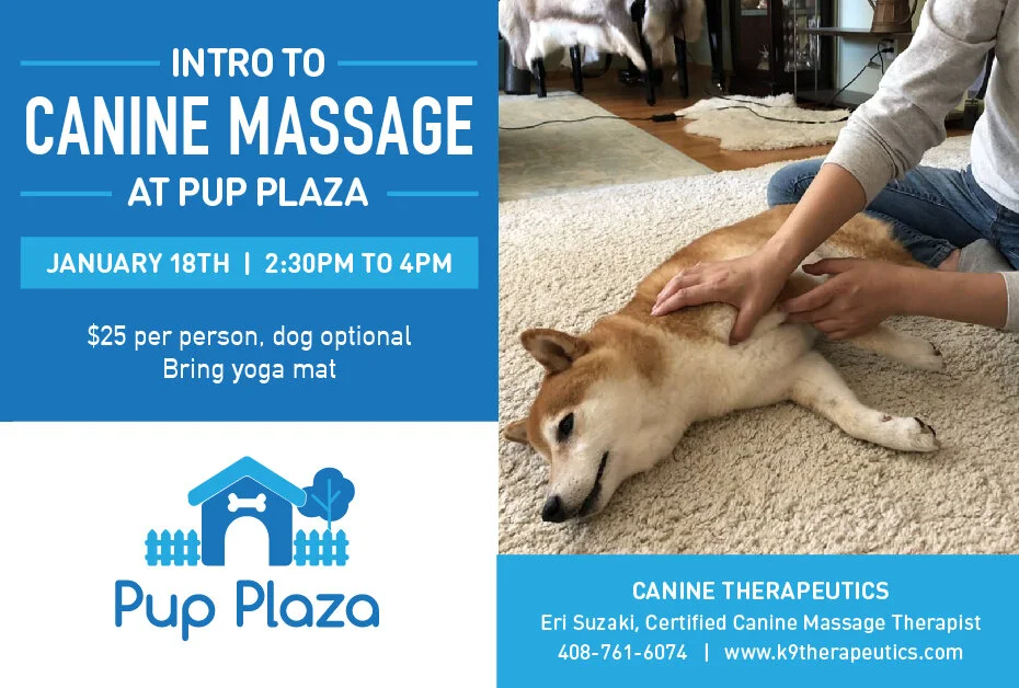 Intro to Canine Massage