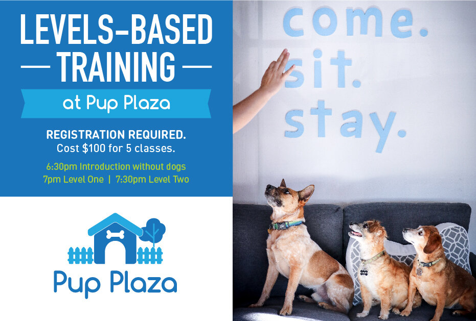 Levels-Based Dog Training