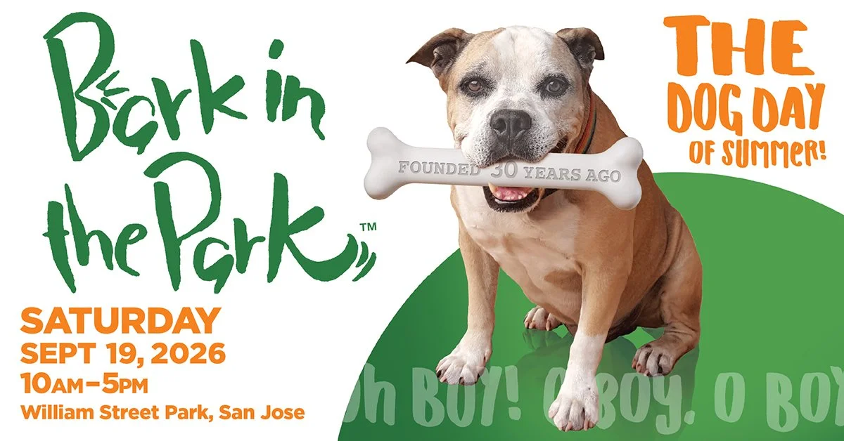 bark26_1200x628.jpg