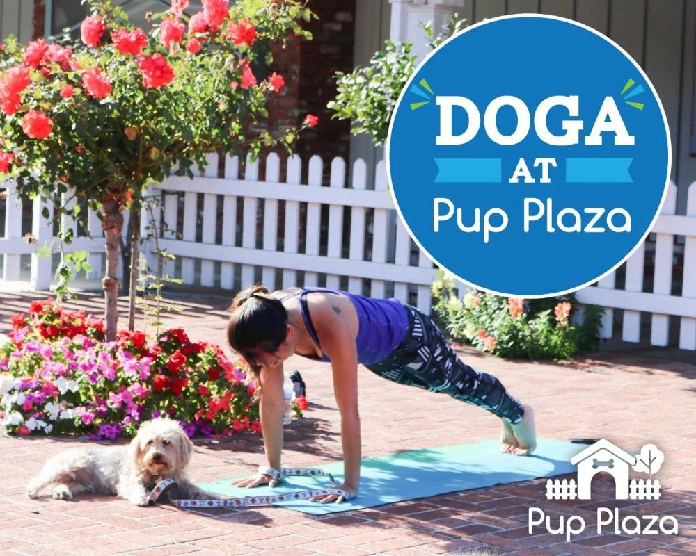 doga.jpg