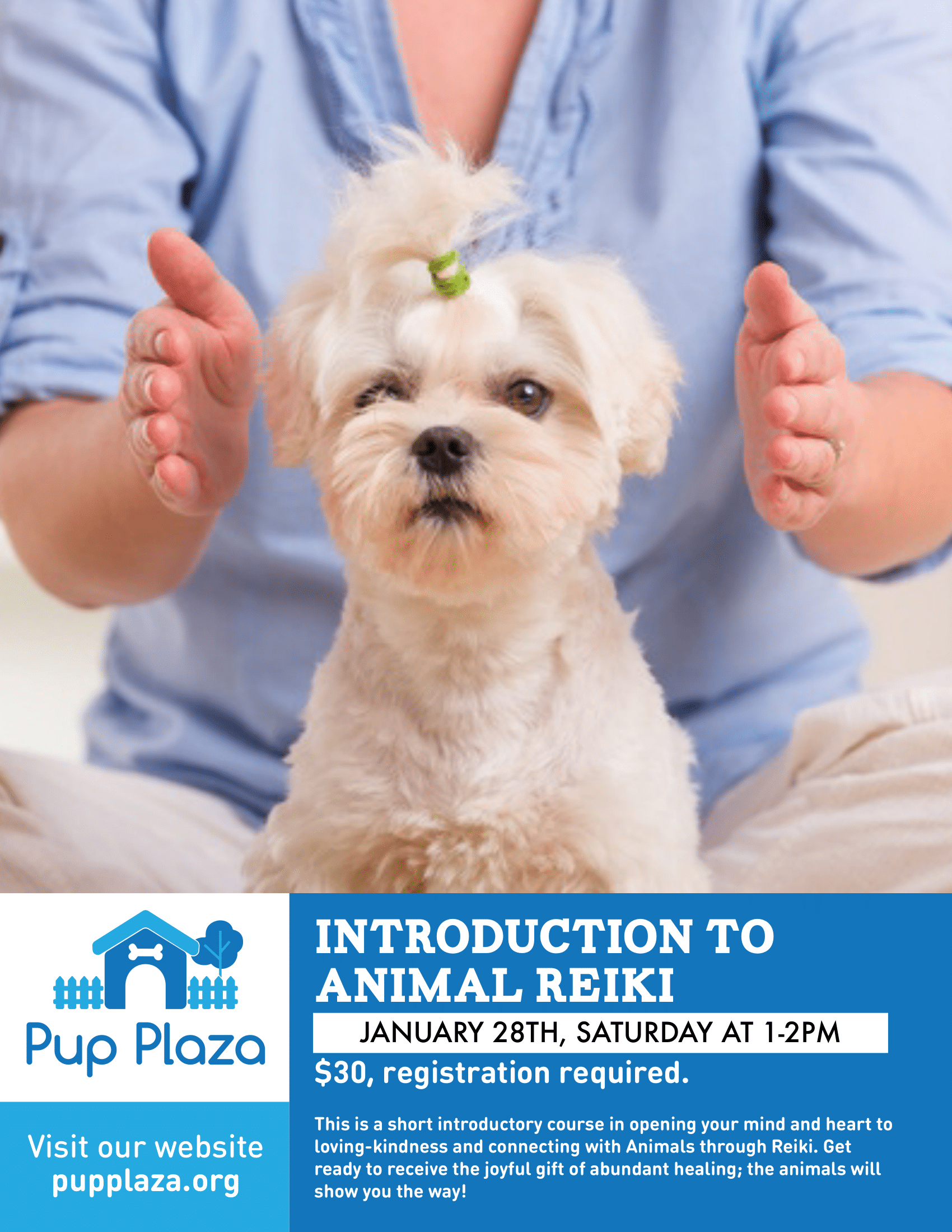 Introduction to Reiki — Silicon Valley Pet Project