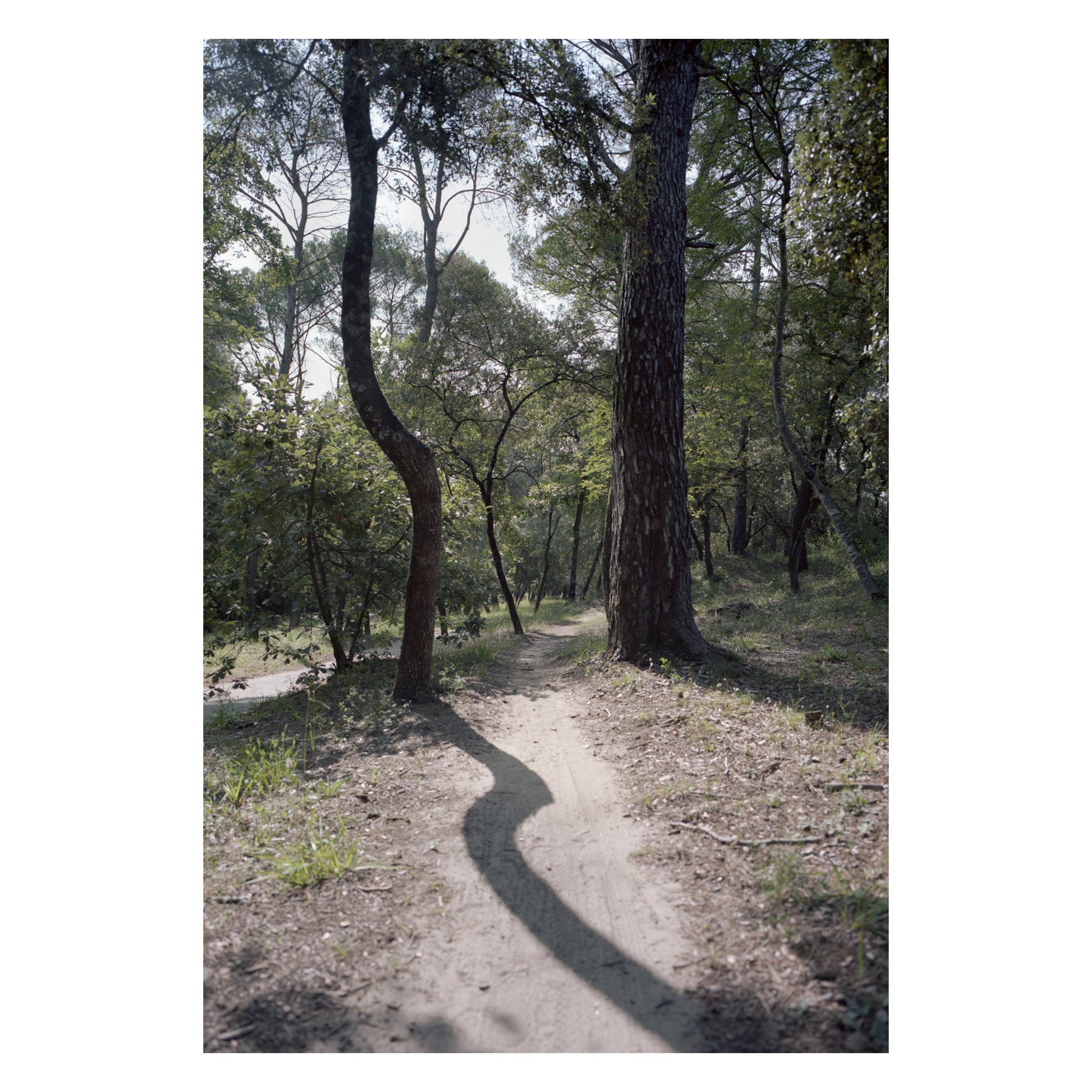 Jack Knowles, Pont du Gard, '23