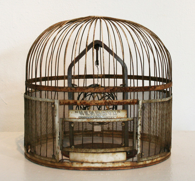 caged.jpg
