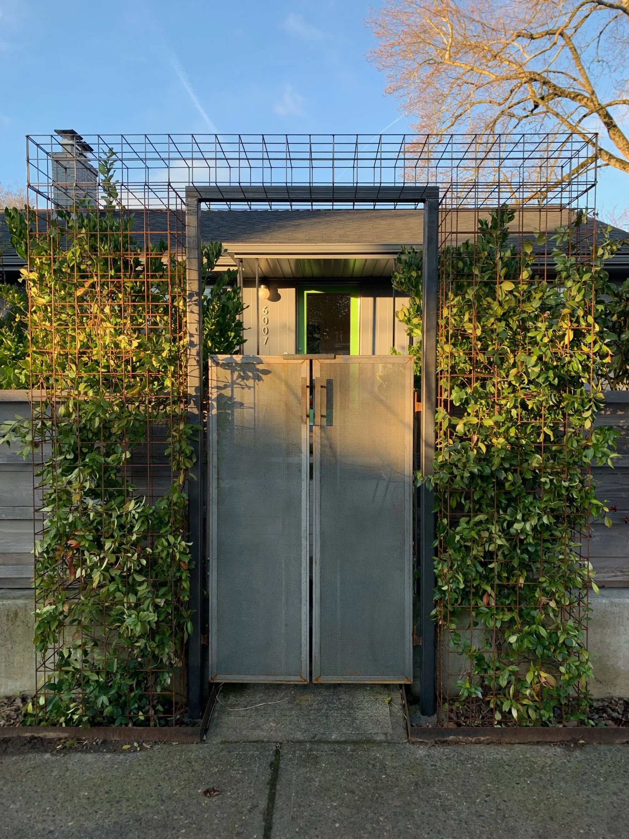 Double door gate with steel cage arbor.