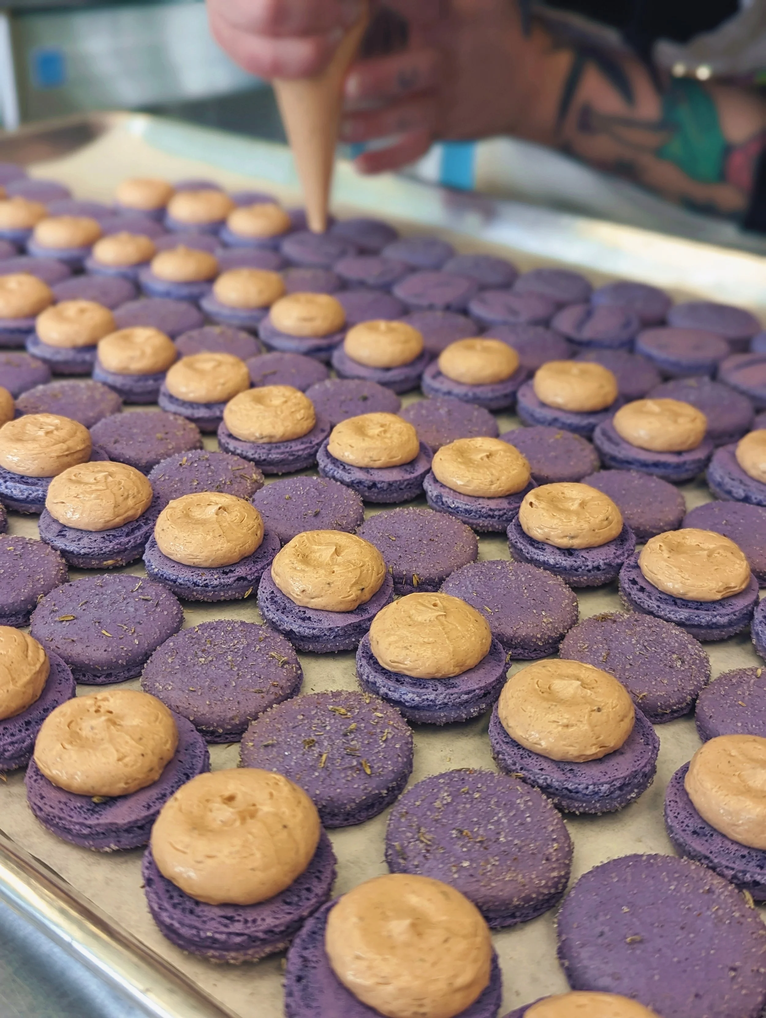 LavenderBrownSugar2 2.jpg