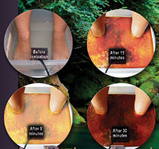 Ionic Detox Foot Spa Treatment