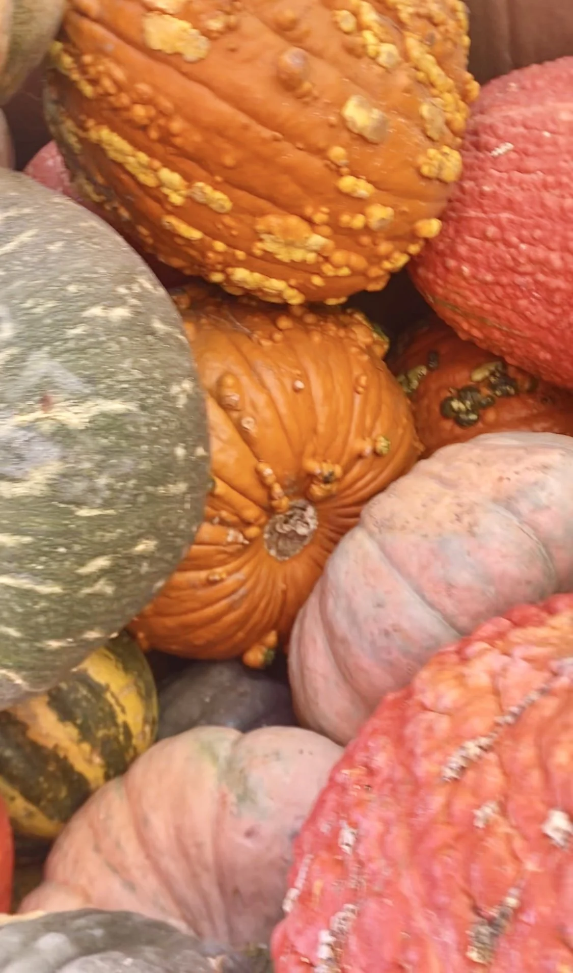 AUTUMN RISING CANDLE