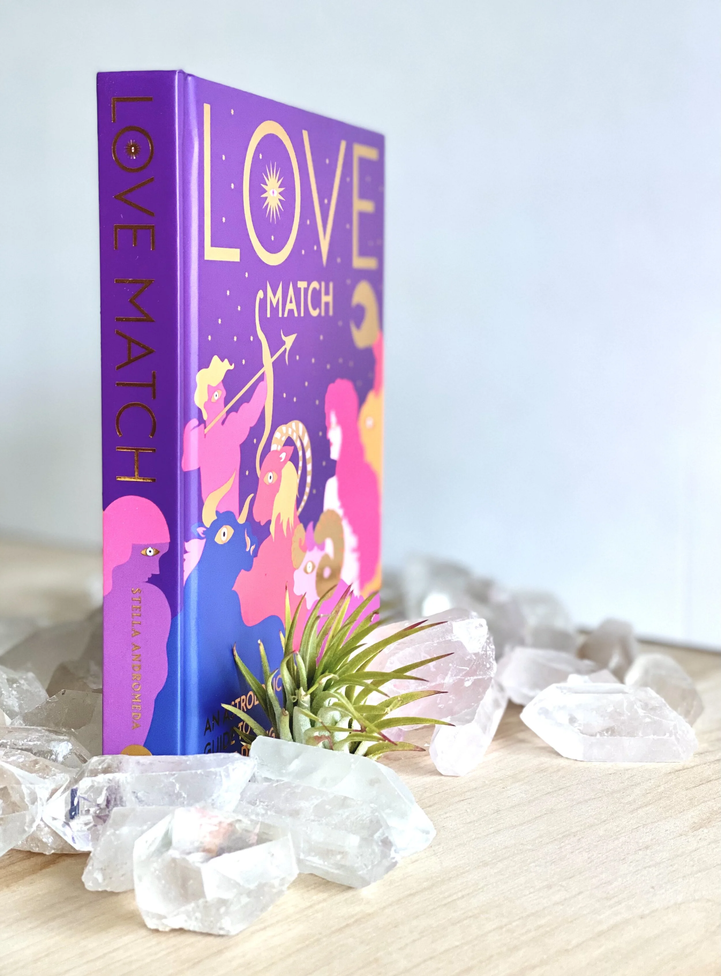LOVE MATCH AN ASTROLOGICAL GUIDE TO LOVE AND DATING — T I N Y B A N D I T