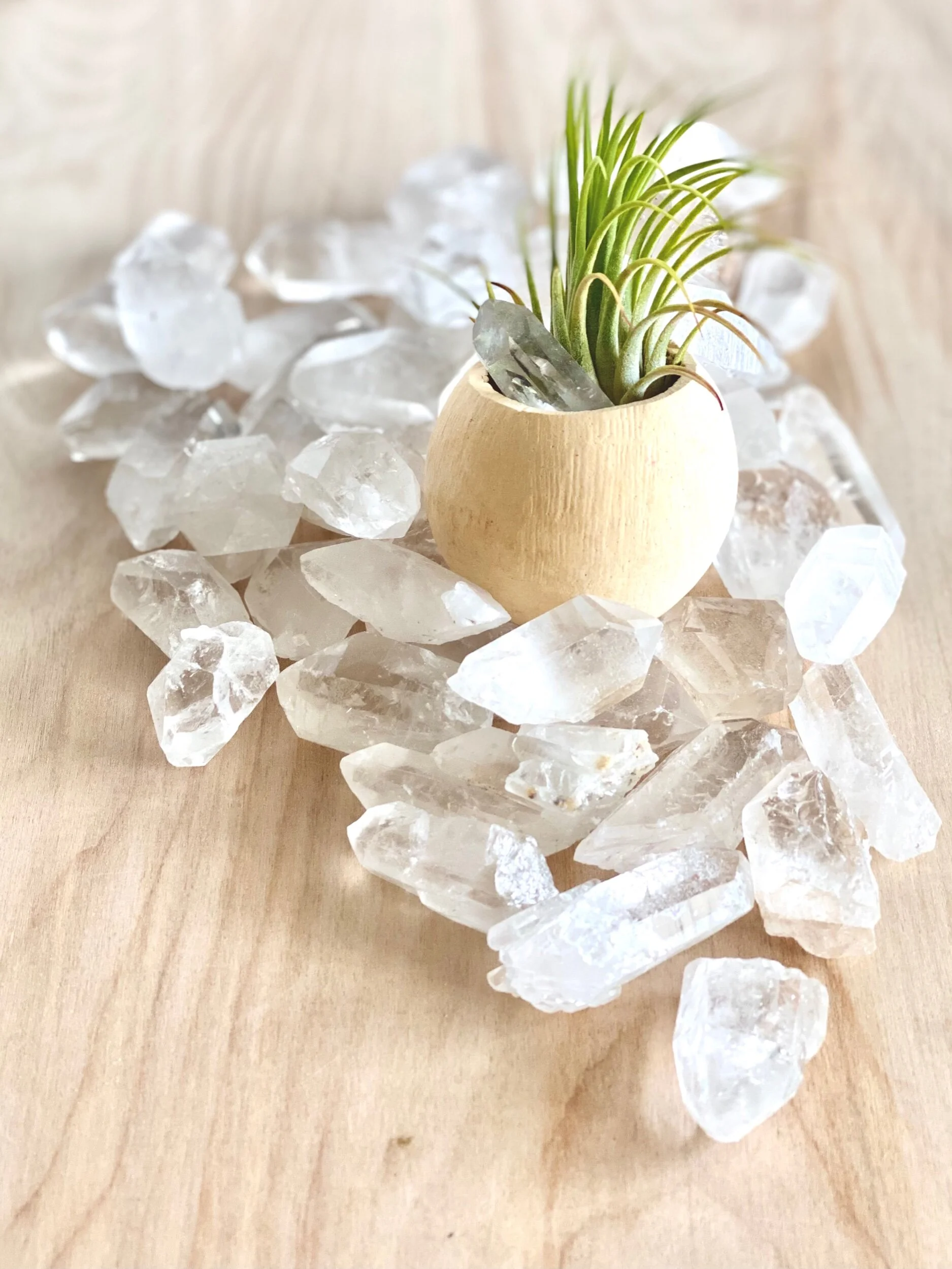 AIR PLANT PODS WITH QUARTZ CRYSTALS
