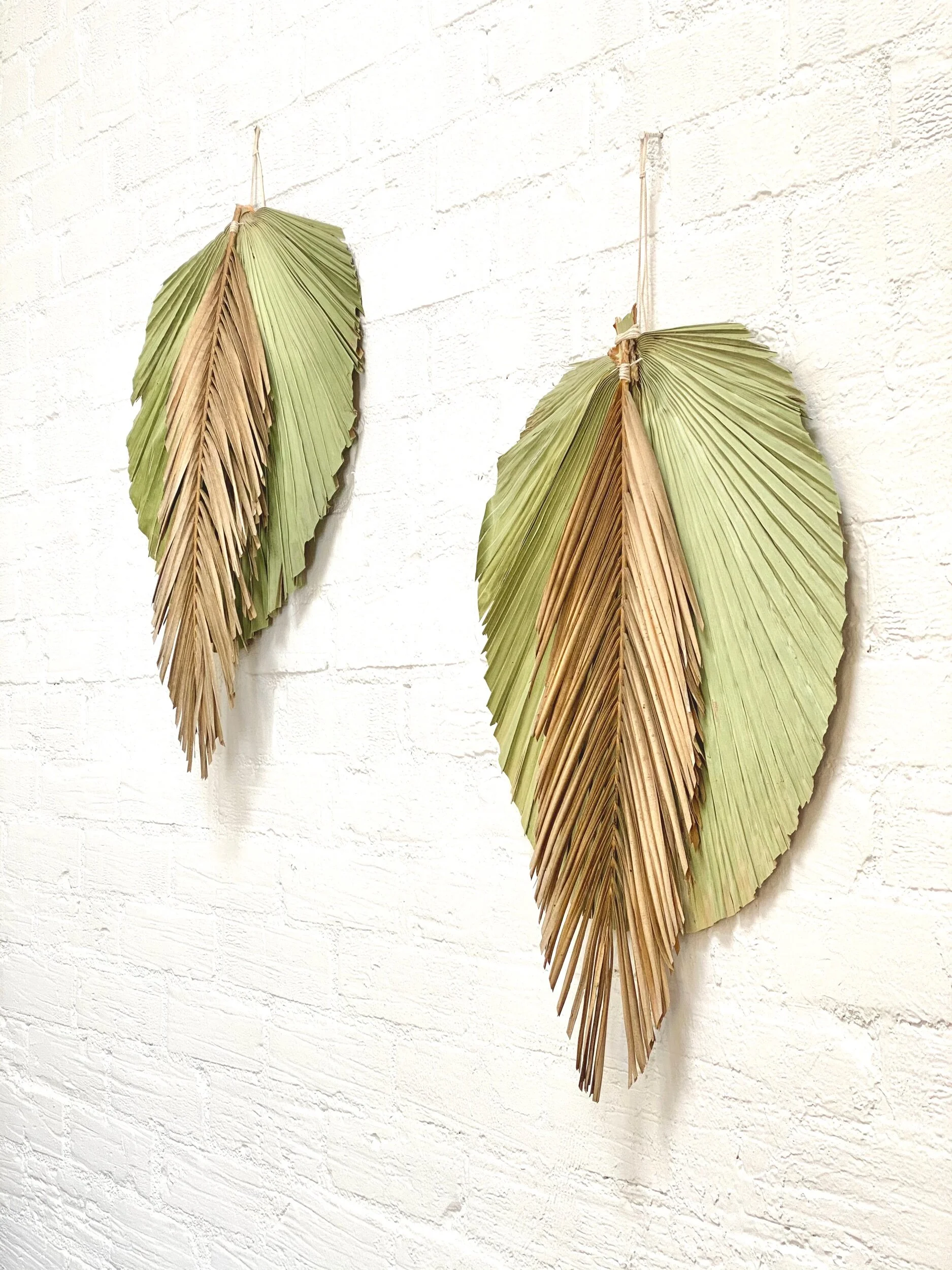 PALM WALL HANGING