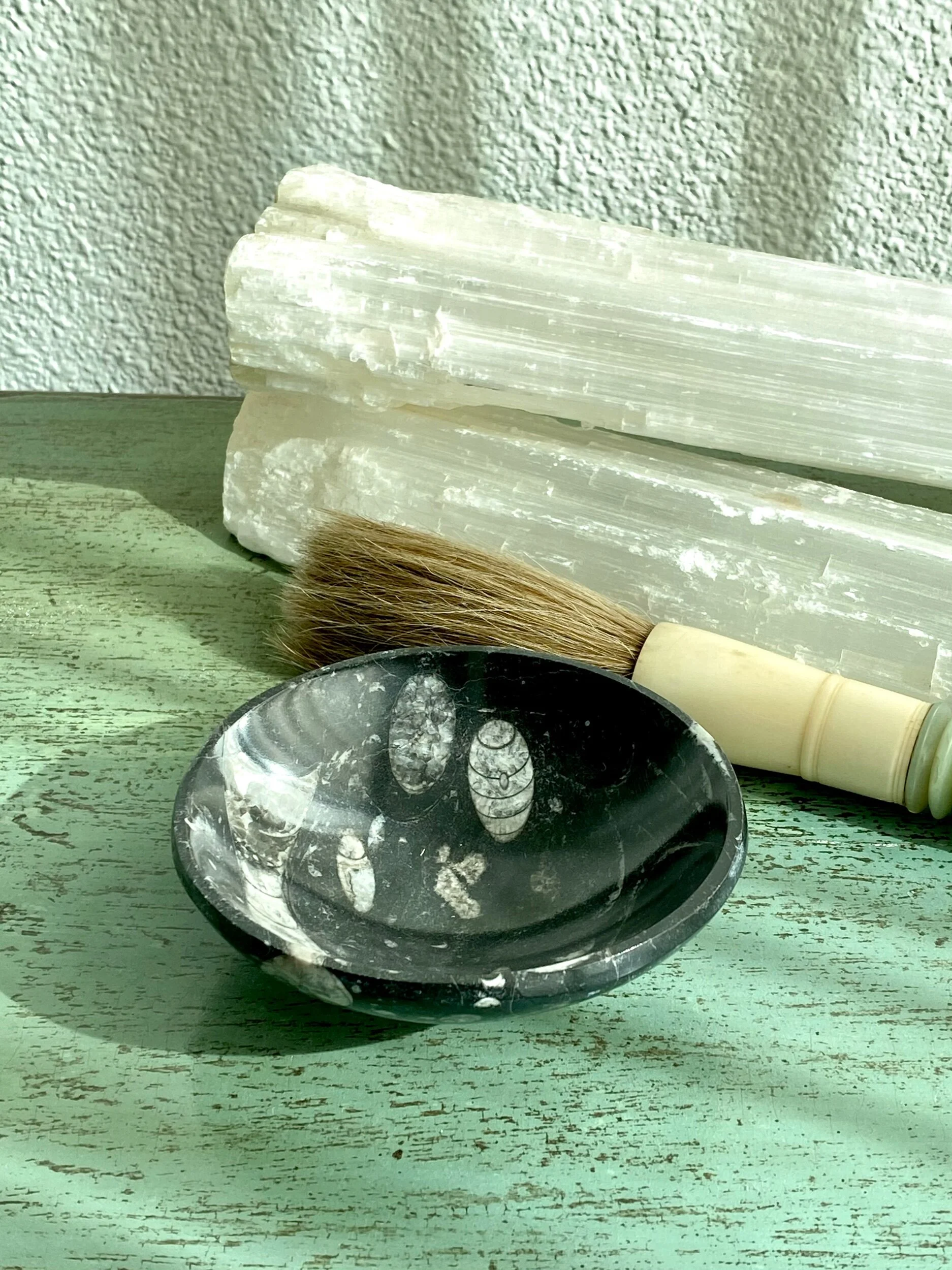 Orthoceras Fossil Bowl