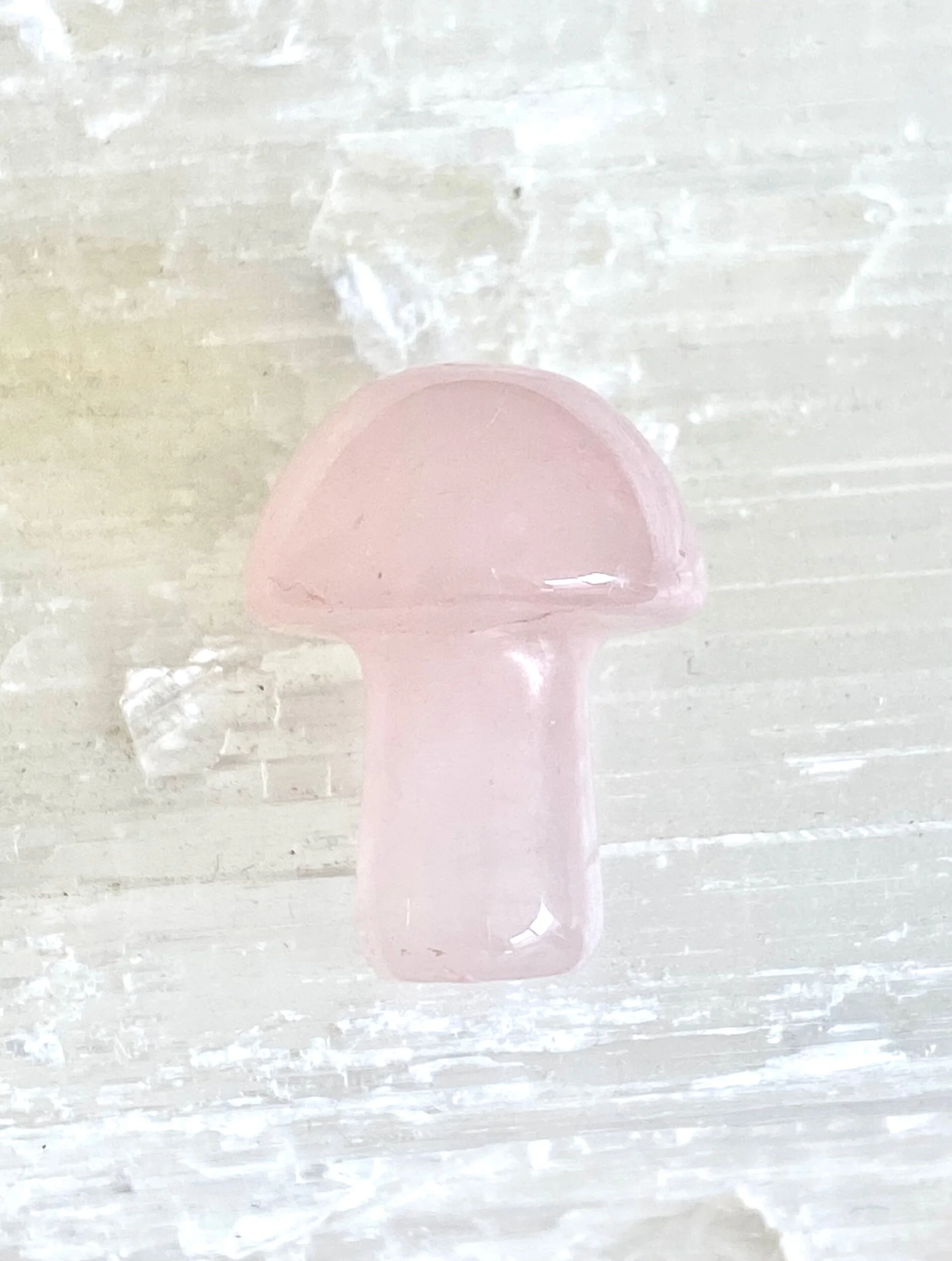 MINI MUSHROOMS