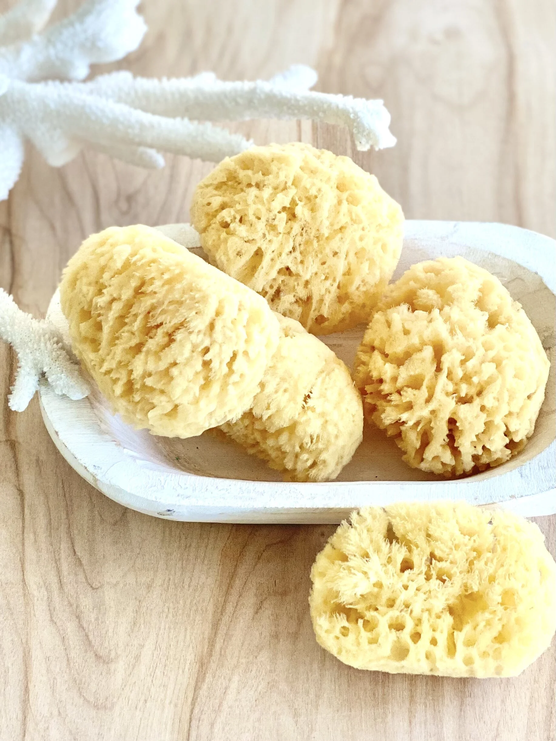 NATURAL SEA SPONGE