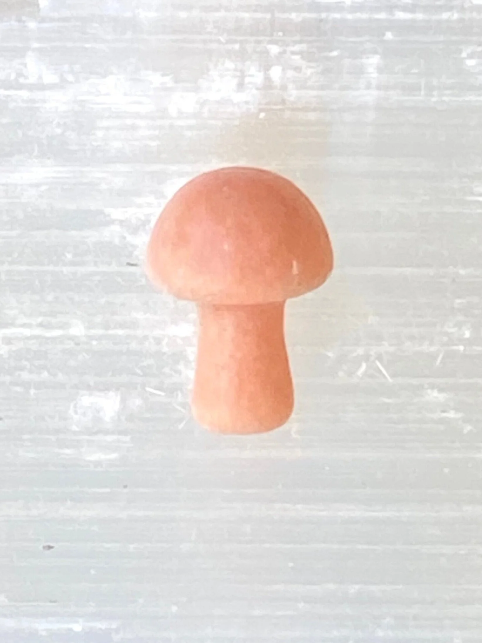 MINI MUSHROOMS