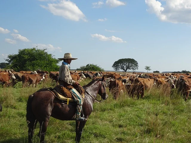 Argentina - Gaucho - Small.jpg