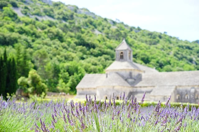 France - Lavender Landscape - Small.jpg