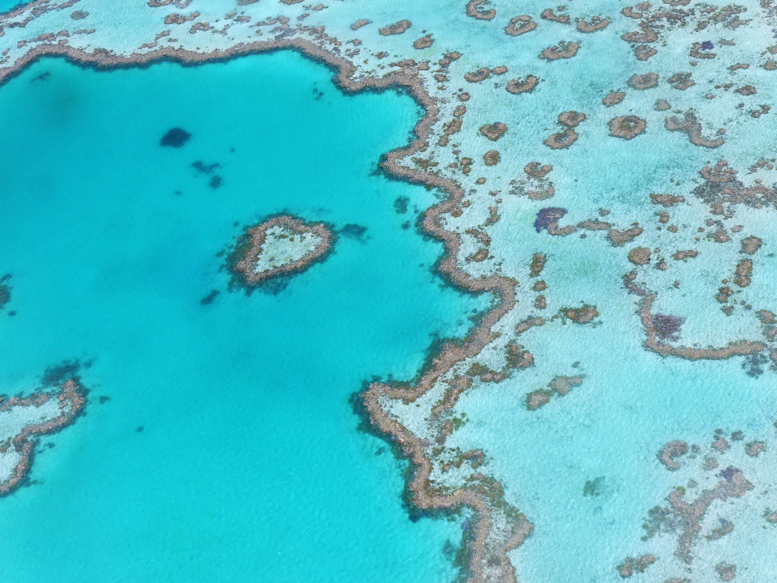 Australia - Great Barrier Reef (2) - XLarge.jpg