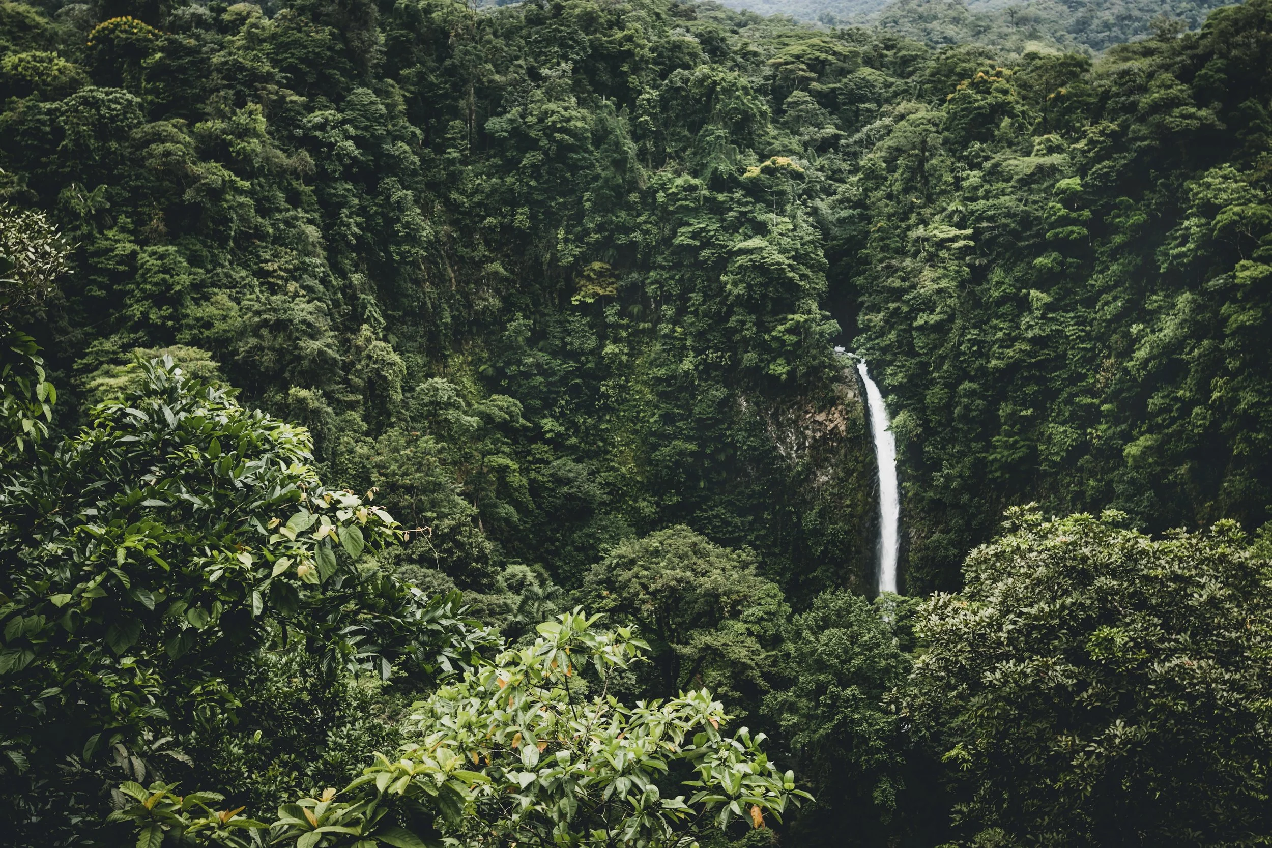 isabella-juskova-260426-unsplash.jpg