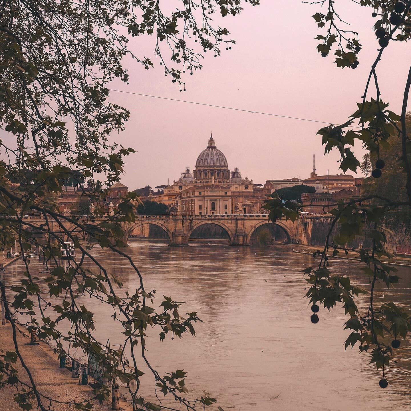 A view to the Vatican. ✨ via @cristinagottardi