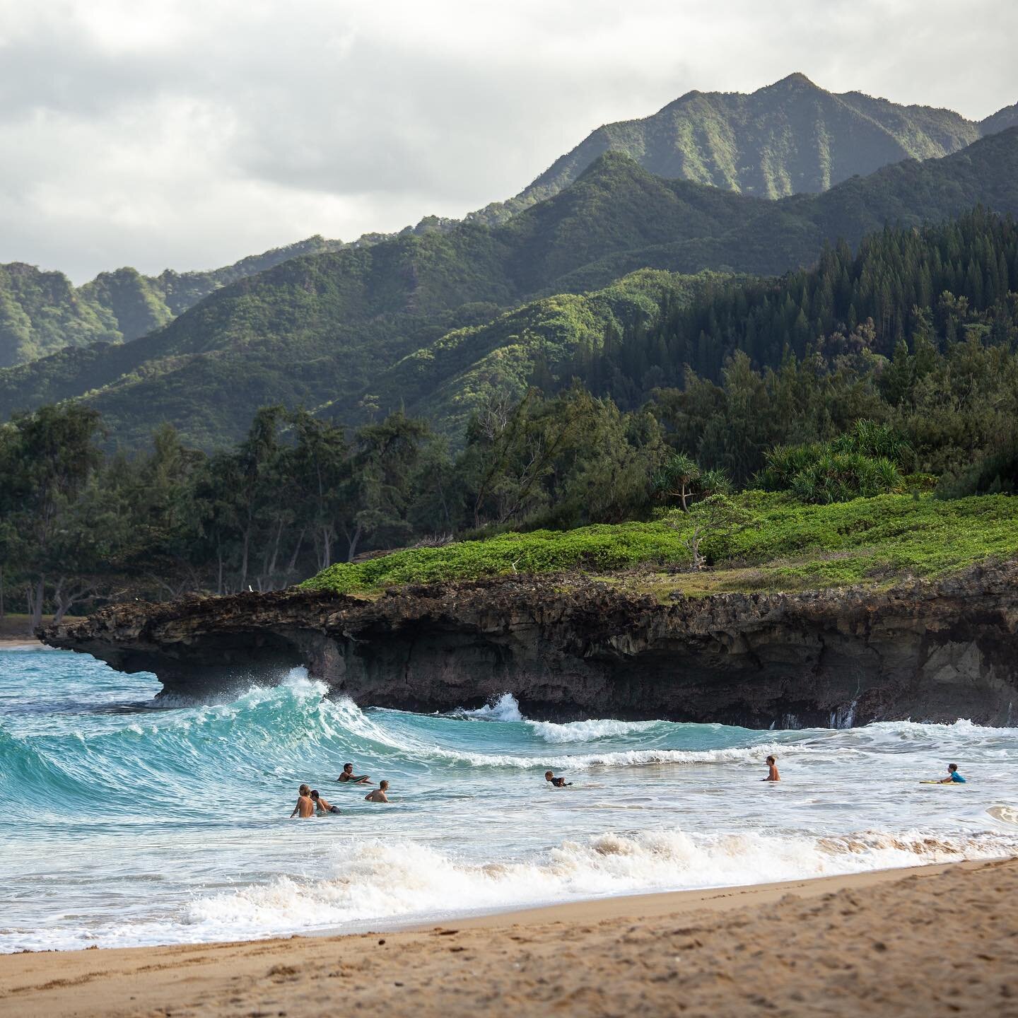 Surf&rsquo;s up! ✨via Luke McKeown