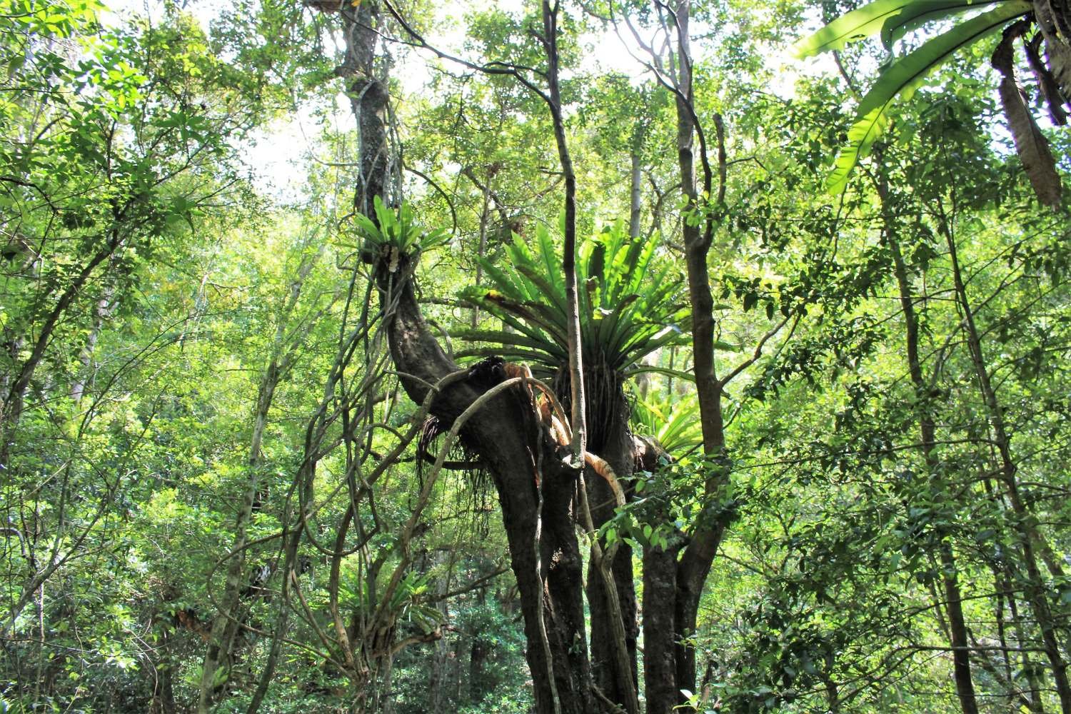 Sydney national park tours