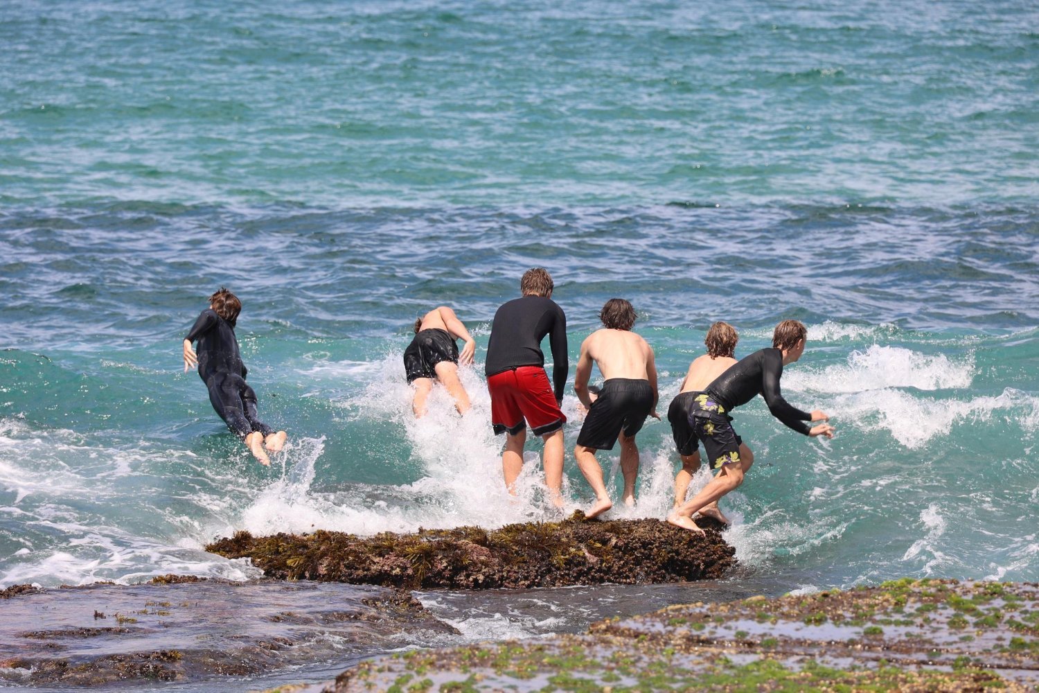 Avalon Beach tours.jpg