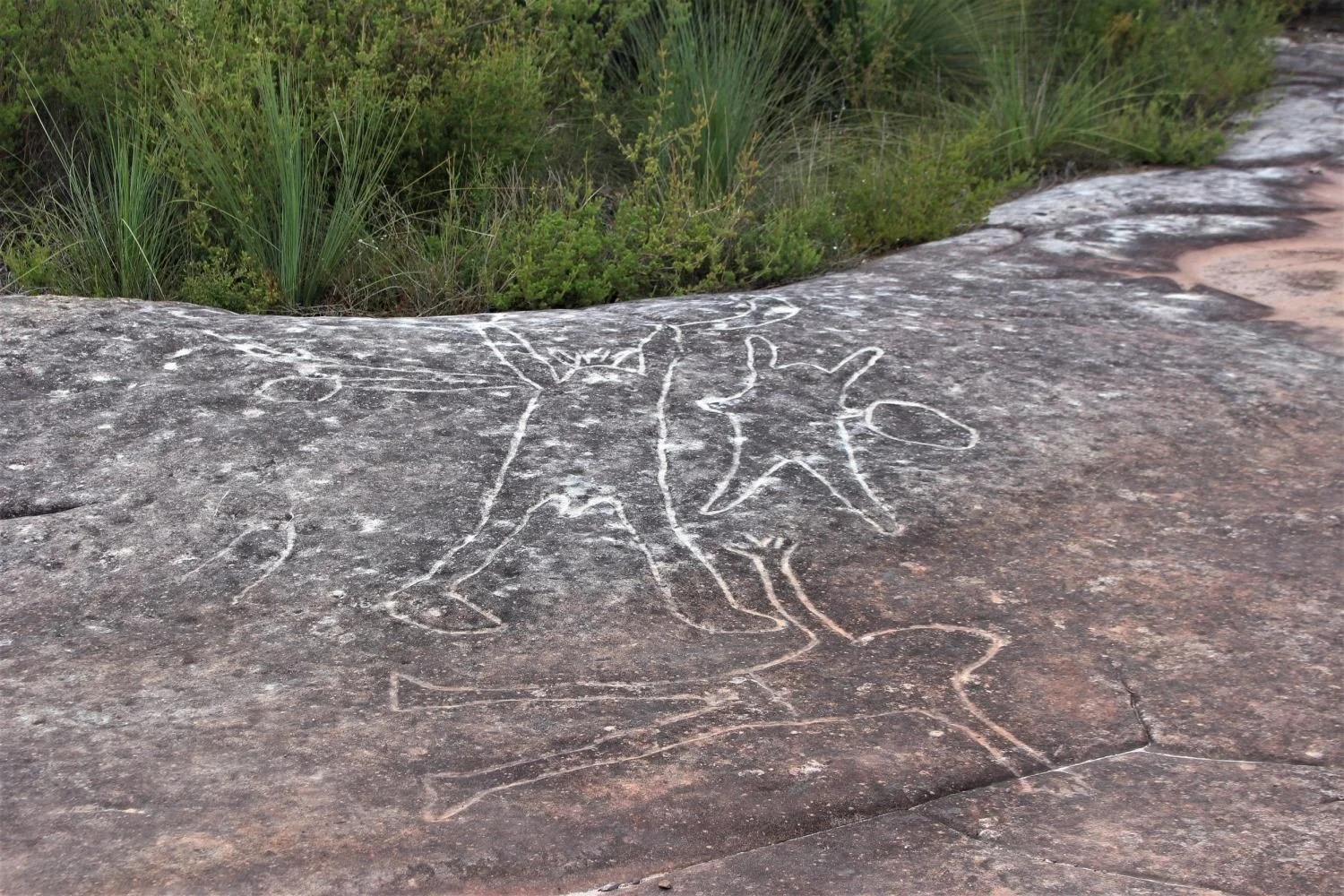 Aboriginal rock engravings Ku-ring-gai Chase National Park