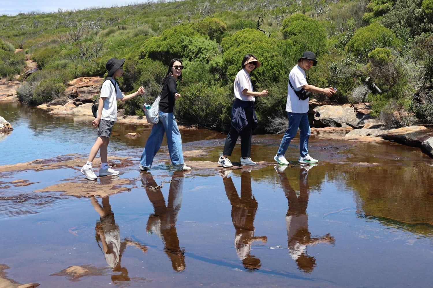 Sydney tours