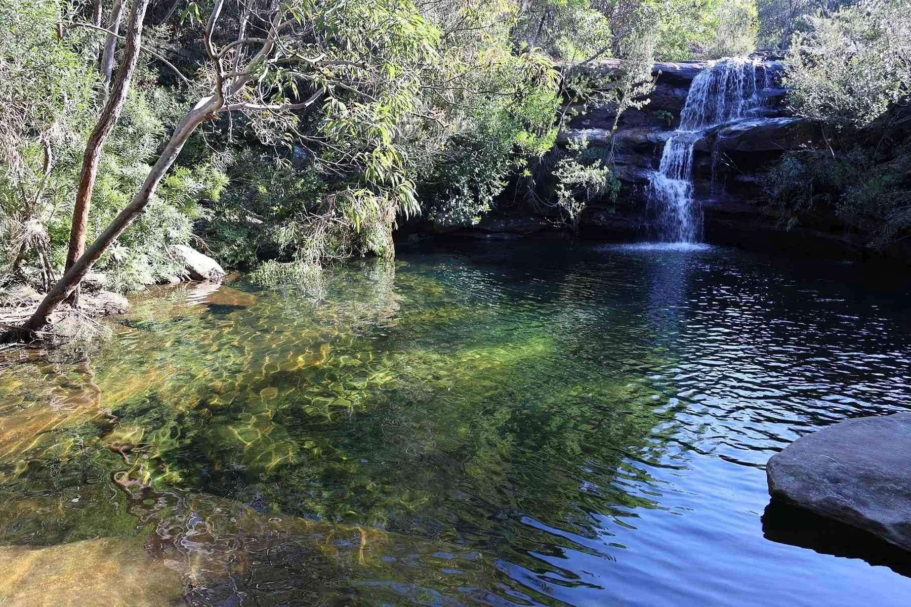 Freshwater Waterfall and Creek, Royal National Park