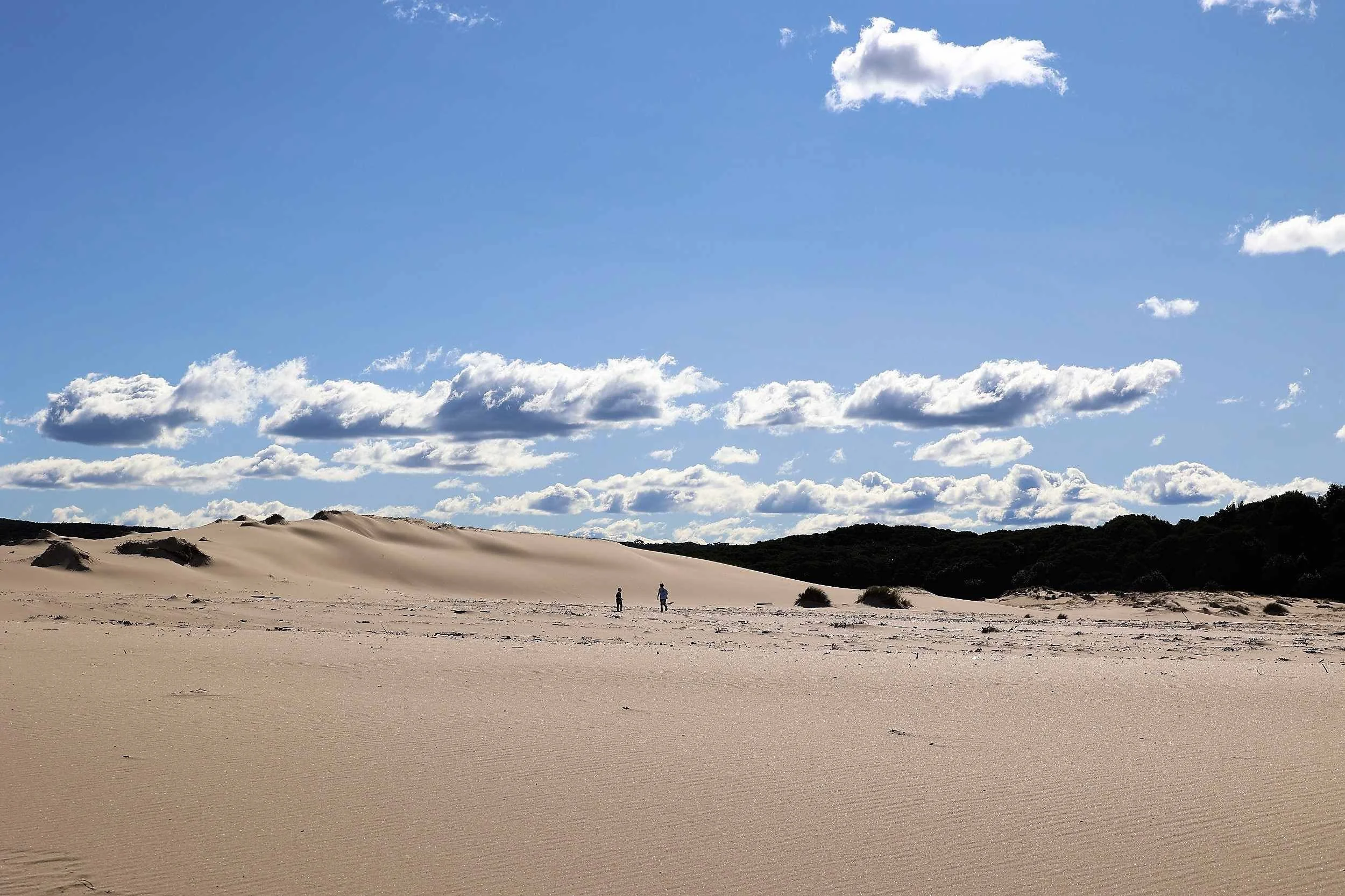marley-beach-sand-dunes
