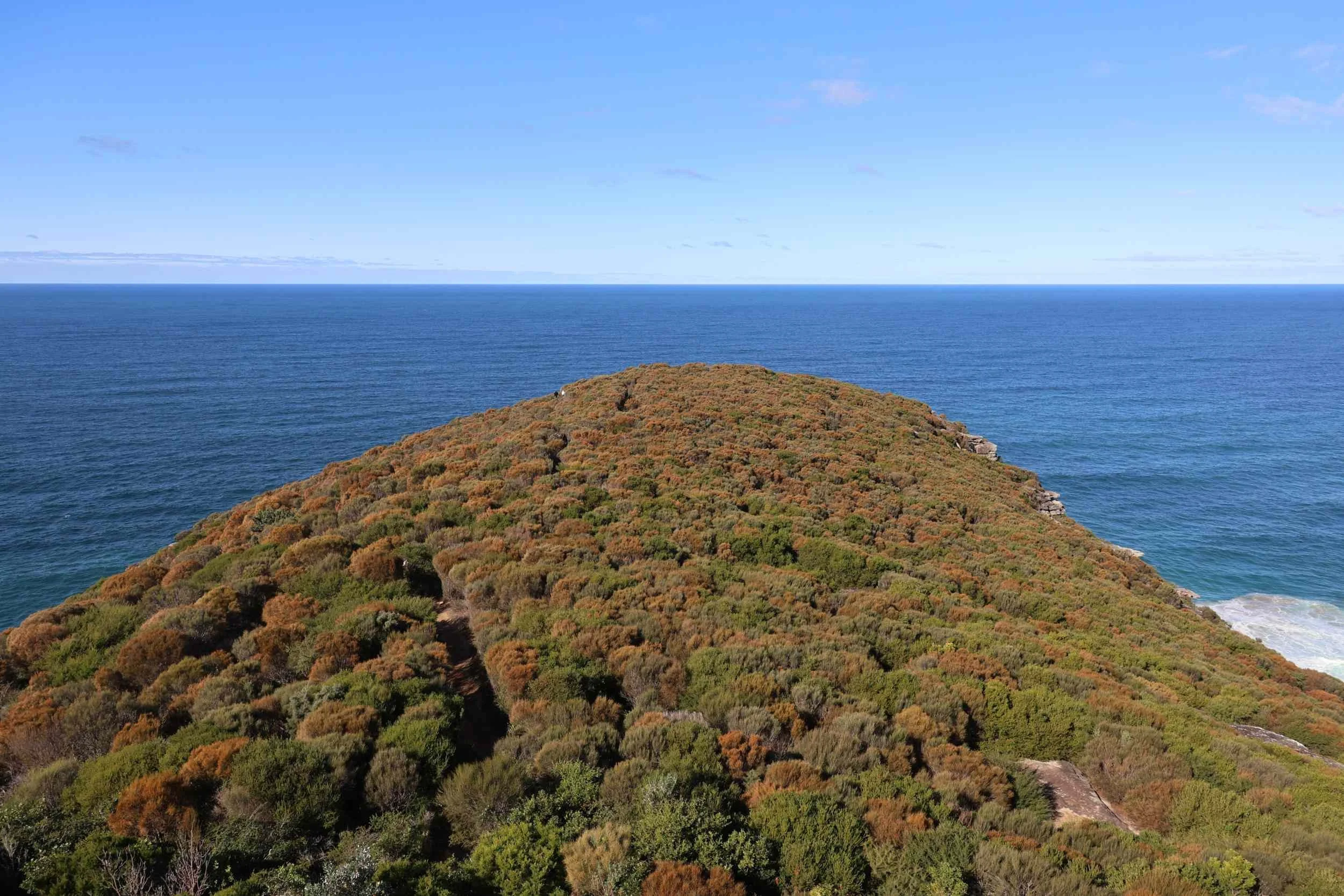 barrenjoey-heathland