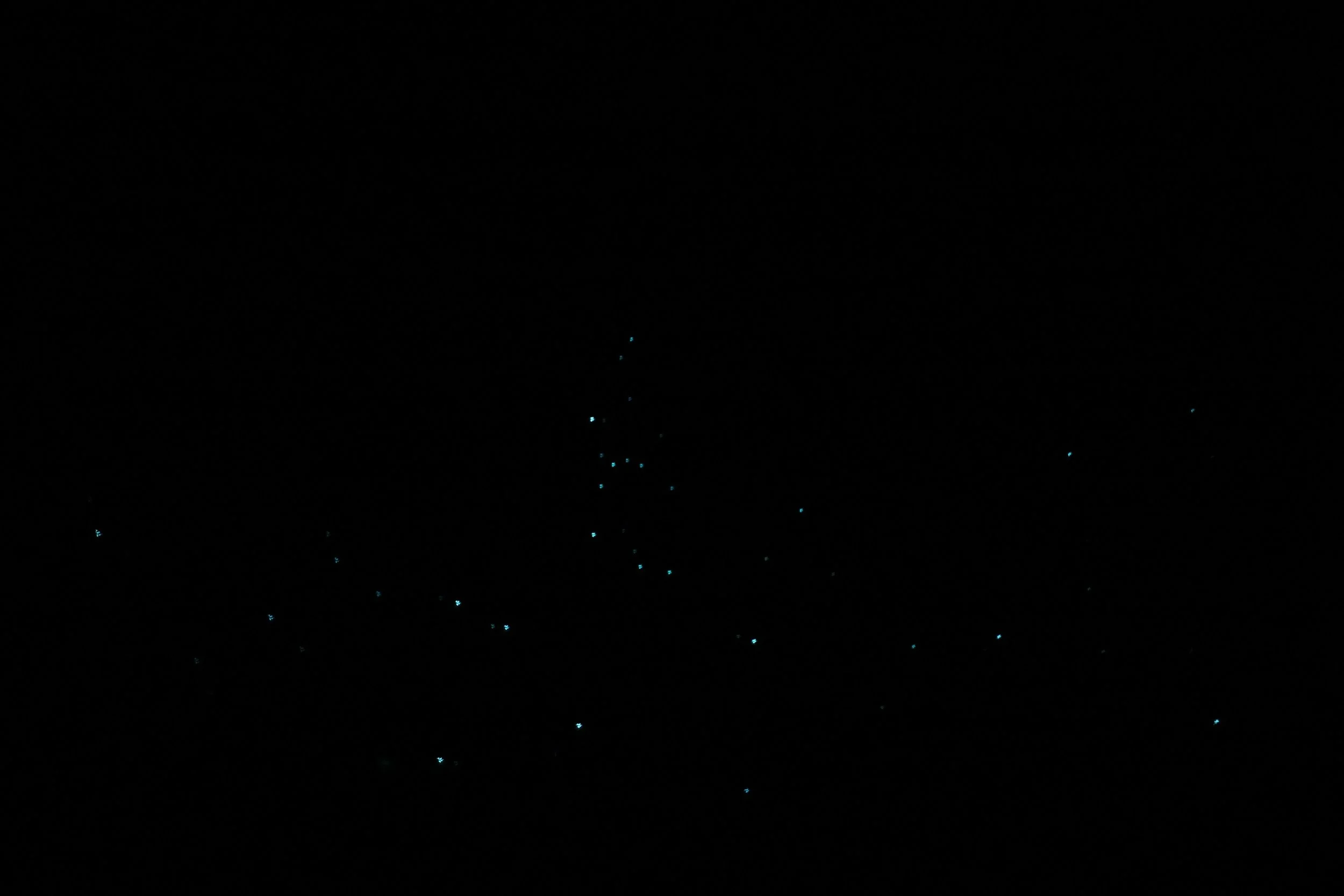 Bioluminescent glow worms visible as blue-green dots on the tunnel walls in complete darkness