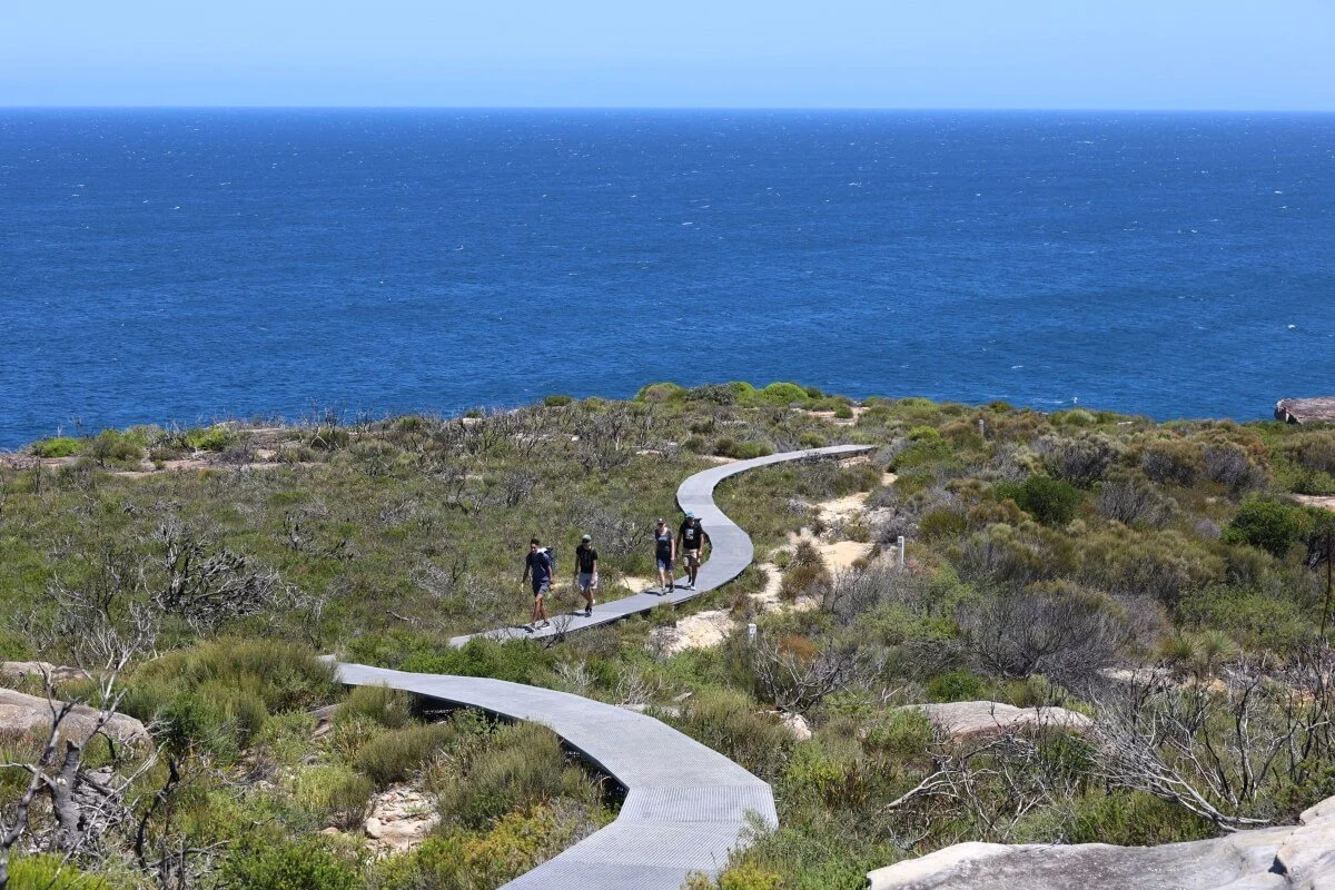 Guests walking the boardwalk path through coastal heathland toward Eagle Rock, Royal National Park