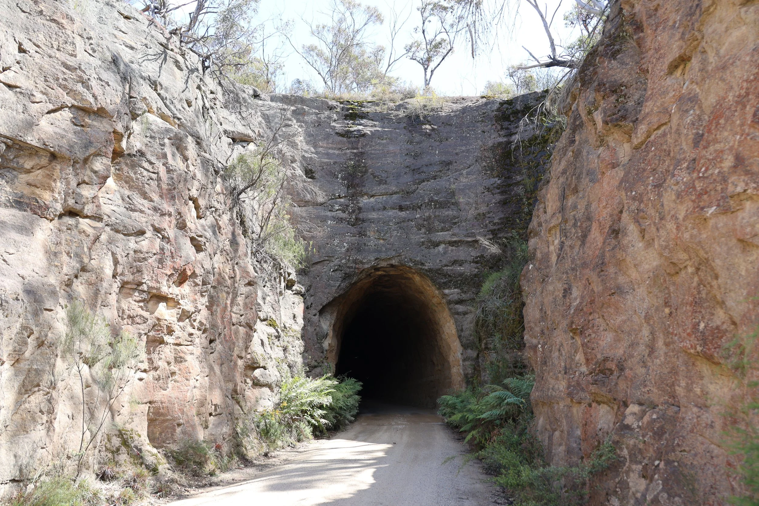 Sandstone cutting at the entrance to the Glow Worm Tunnel, Blue Mountains