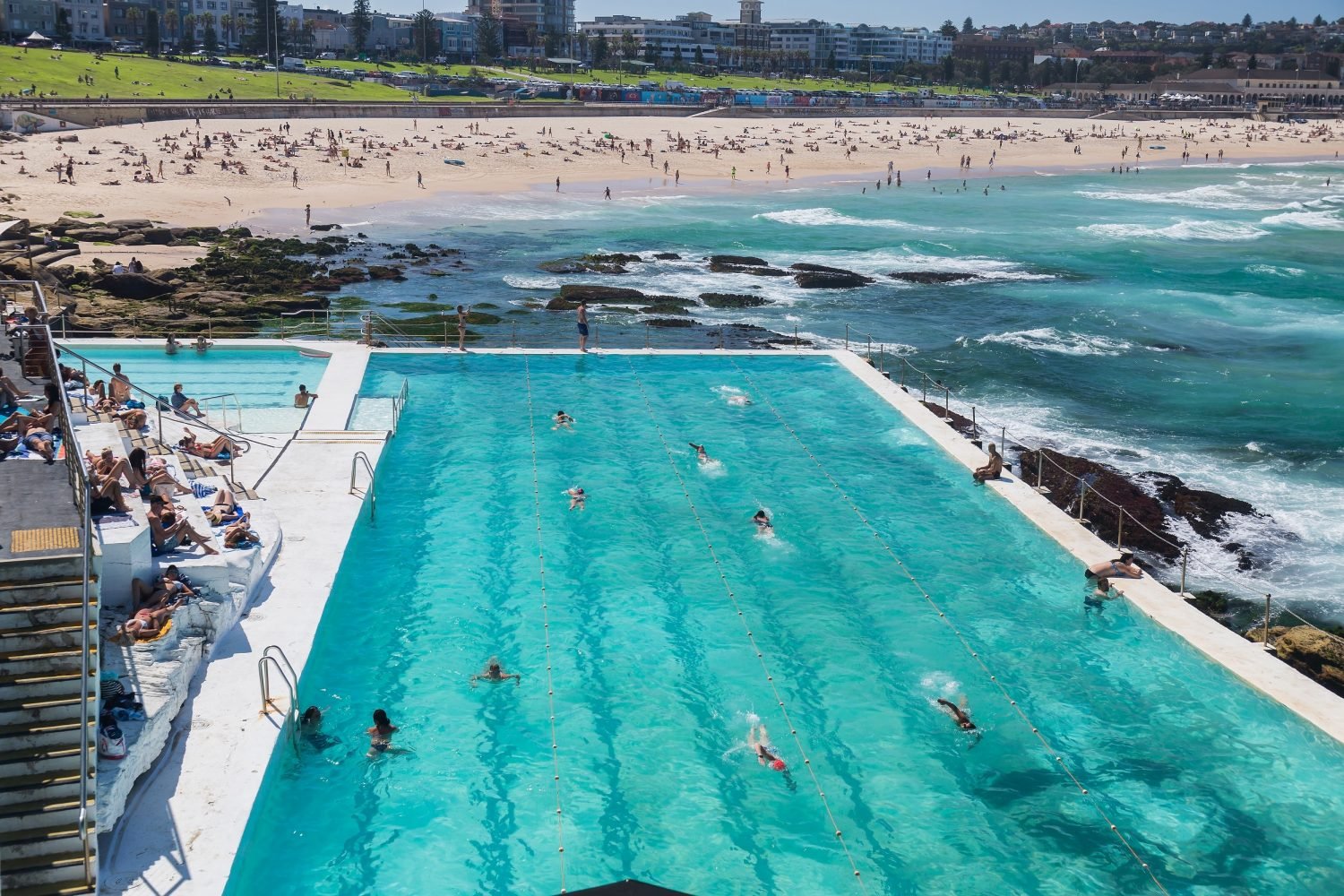 Bondi Icebergs