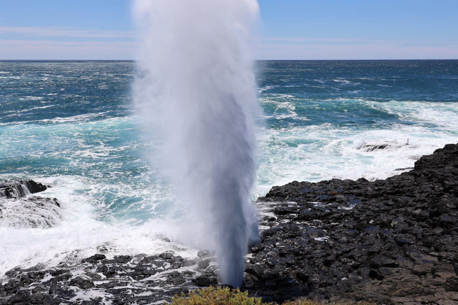 Kiama blowhole tours from Sydney