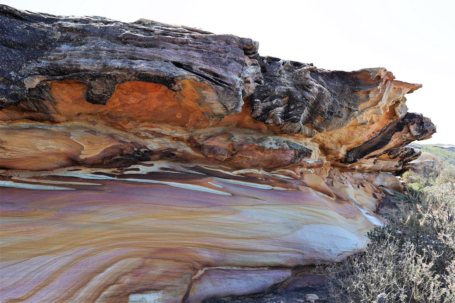 Royal National Park sandstone colours