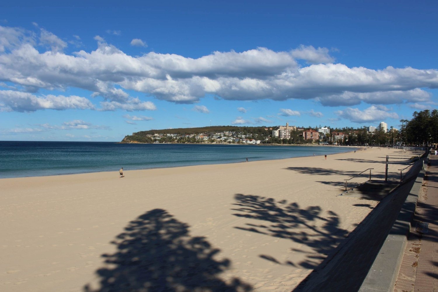 Manly Beach private tours Sydney.JPG