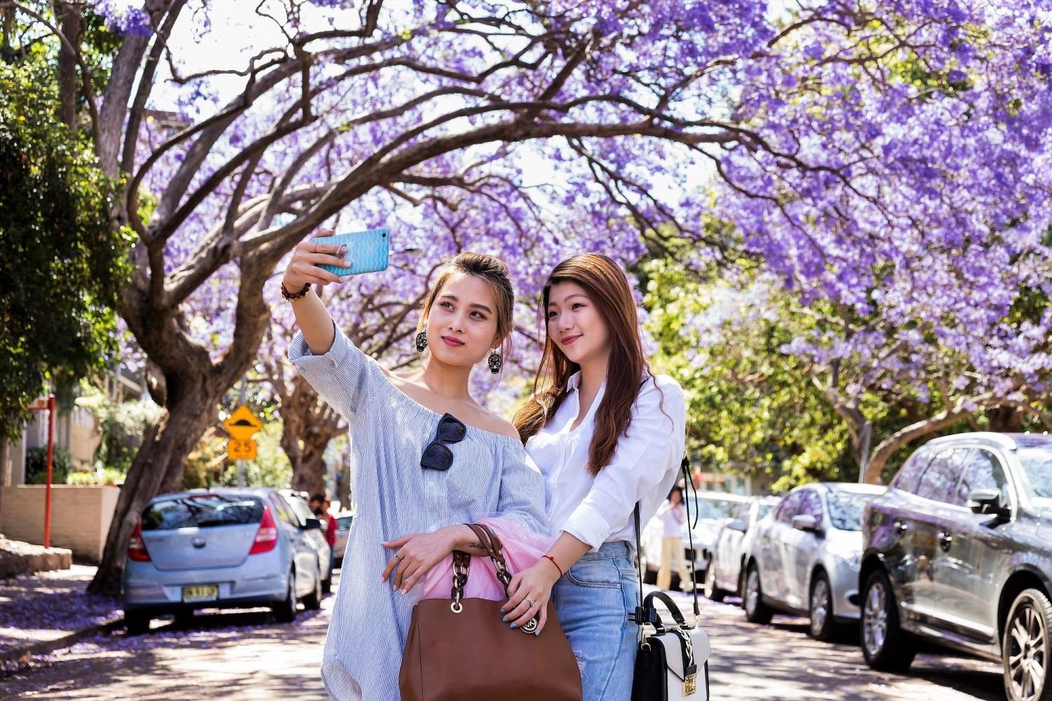 Sydney Nimble Tours Northern beaches Harbour.jpg