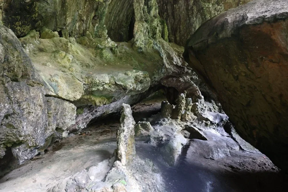 Interior of Palona Cave showing limestone stalactites and stalagmites formed within sandstone rock, Royal National Park